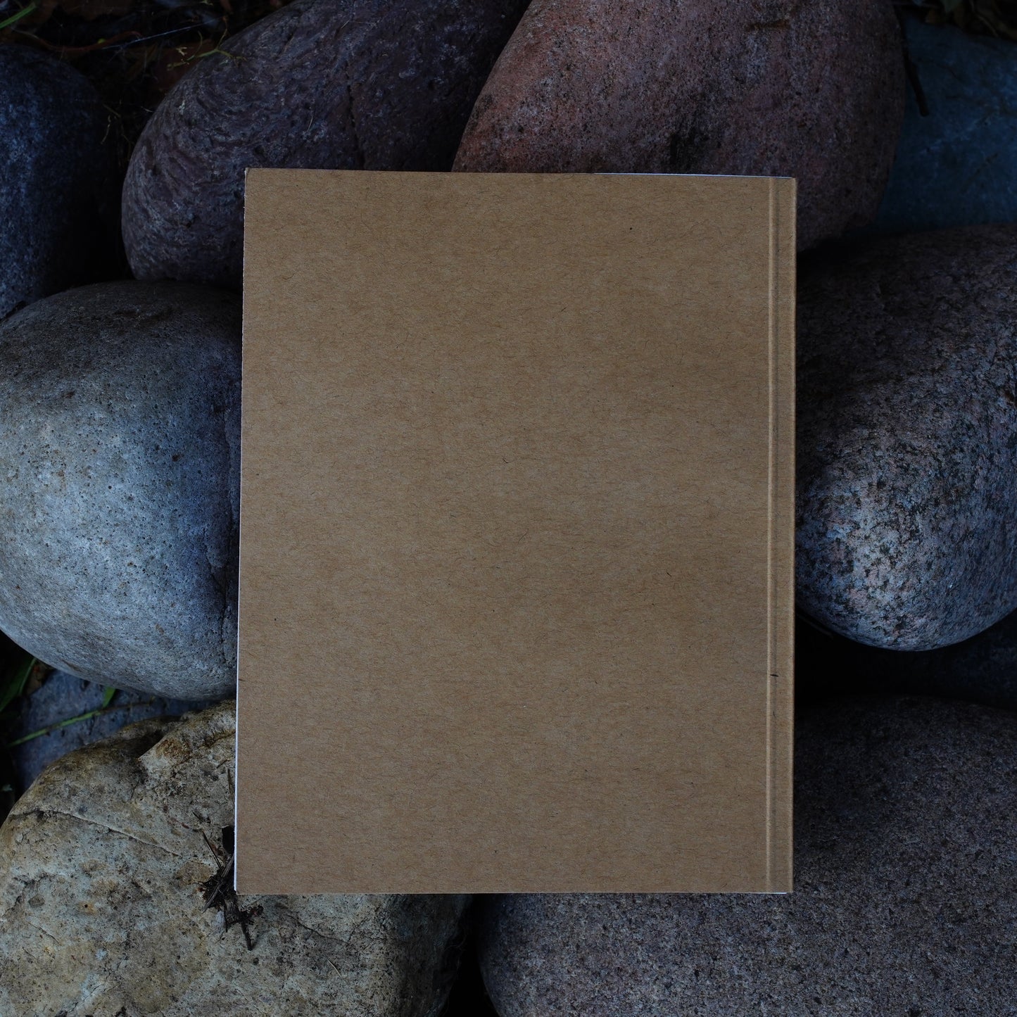 (ON TOUR ORDERS DELAYED UNTIL 6/22) VOICE OF THE REVOLUTION LYRIC BOOK (Handmade)