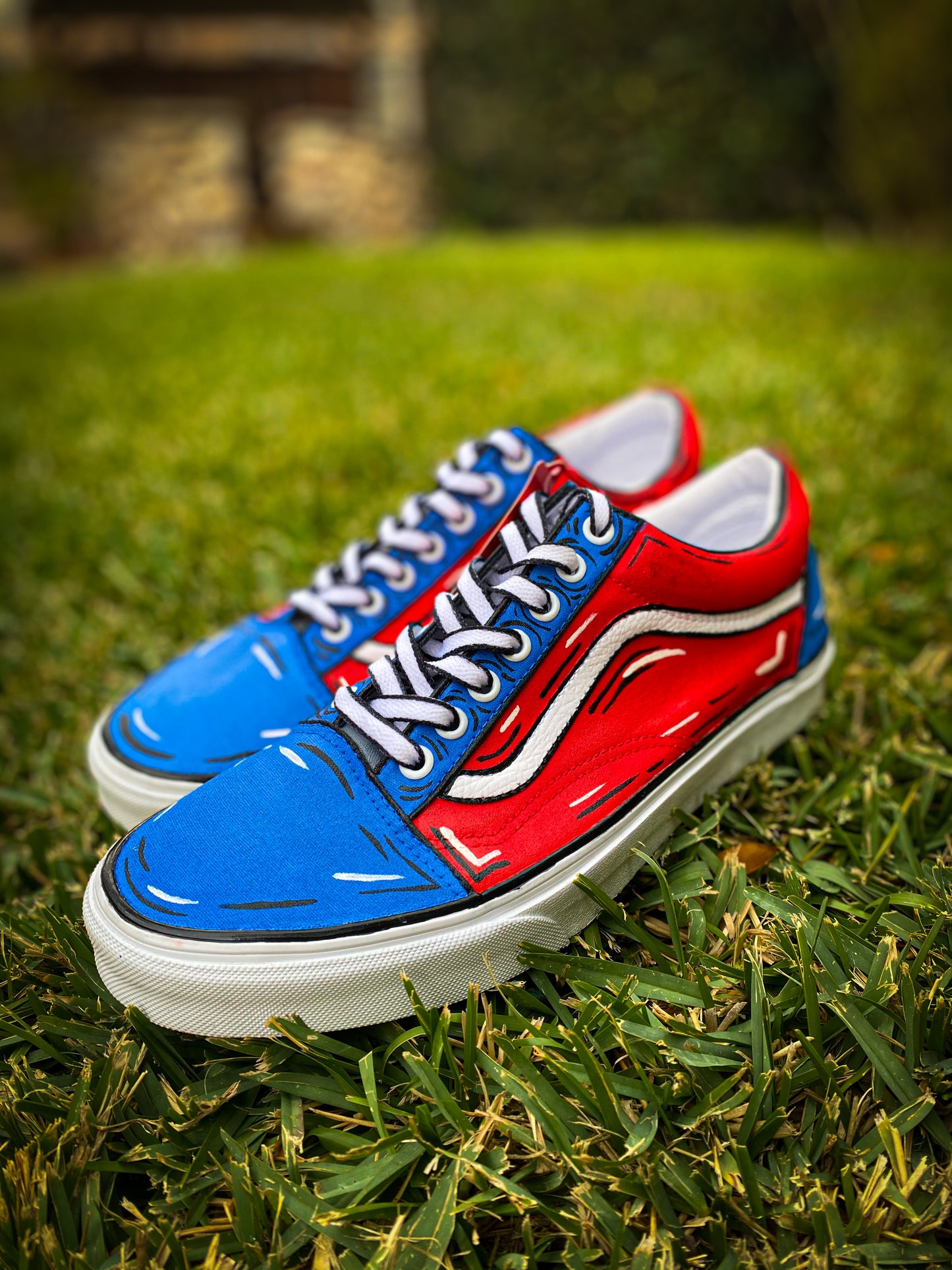 TNK Classic Custom Cartoon Painted Shoes