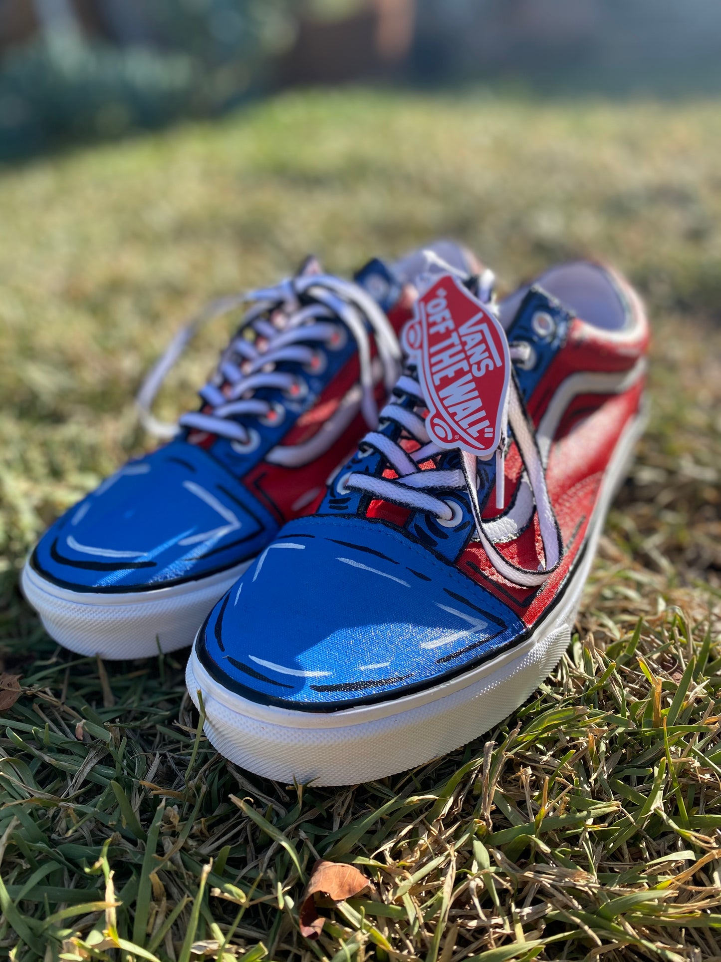 TNK Classic Custom Cartoon Painted Shoes