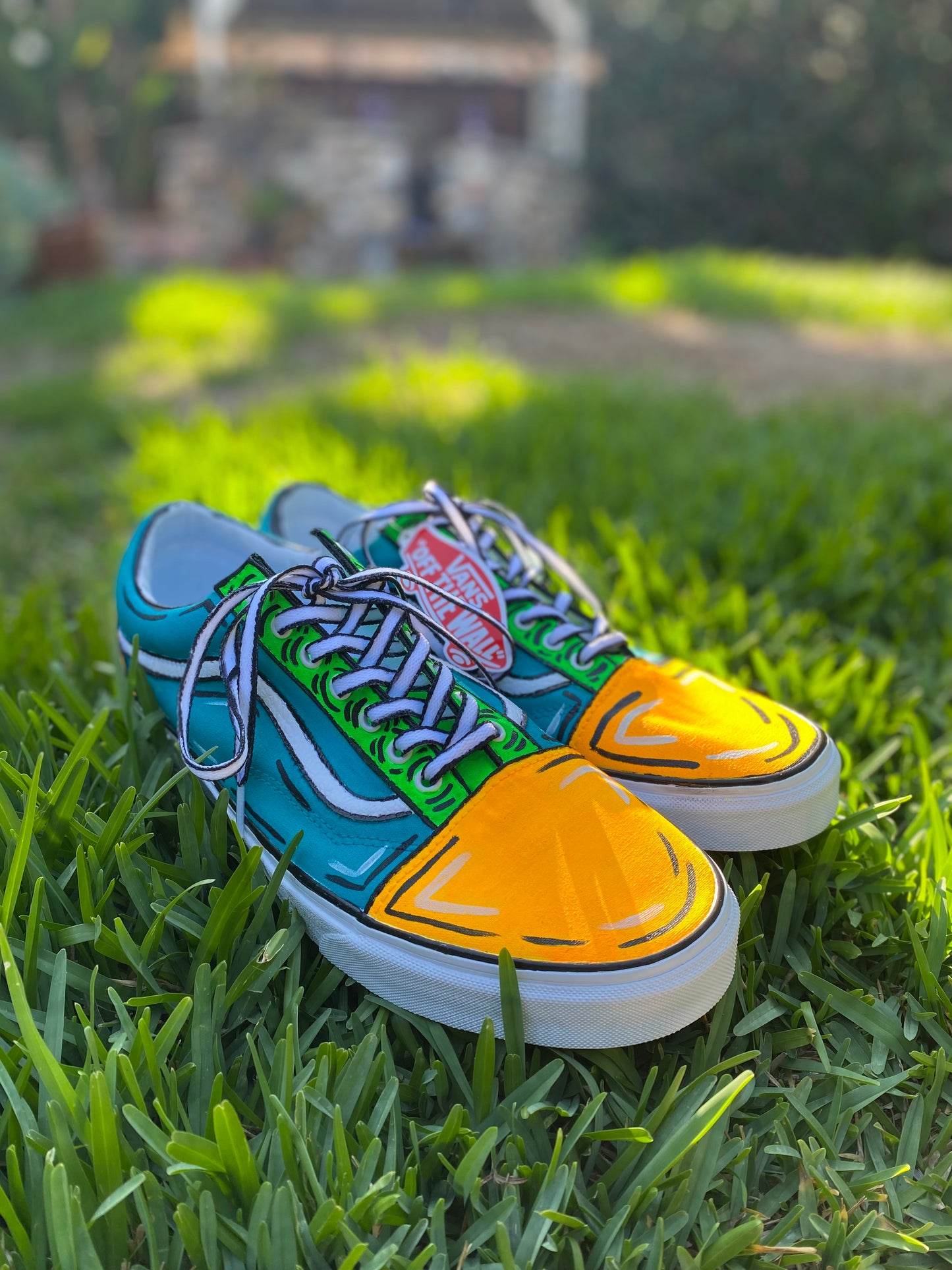 TNK Classic Custom Cartoon Painted Shoes